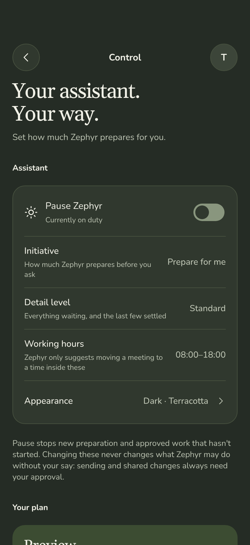 Zephyr's Control screen: pause, initiative, detail level, working hours and the plan.