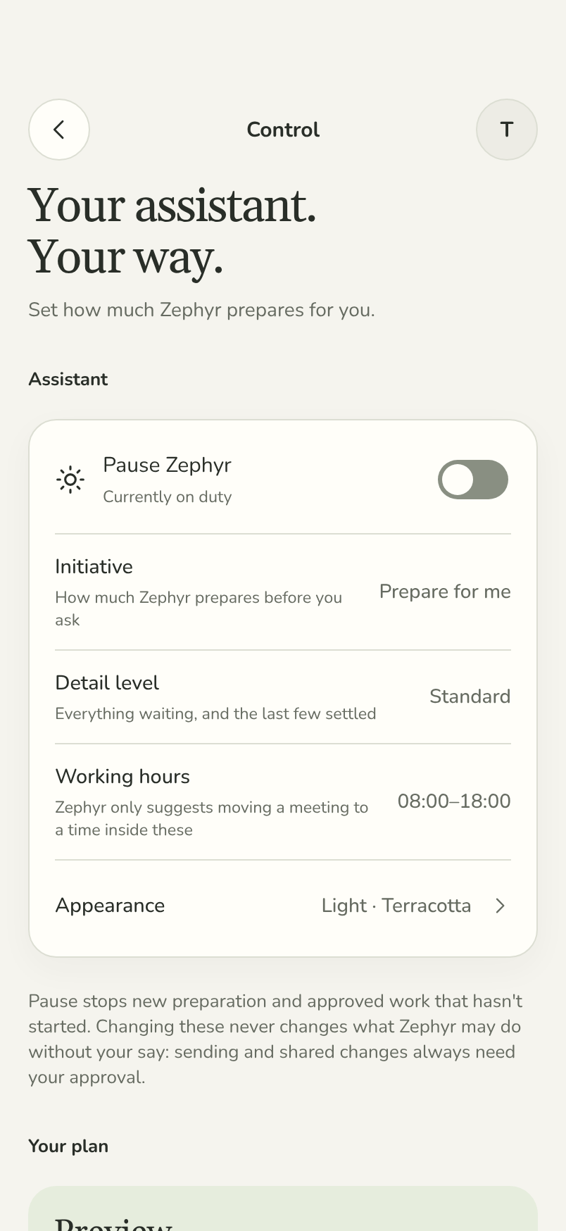Zephyr's Control screen: pause, initiative, detail level, working hours and the plan.
